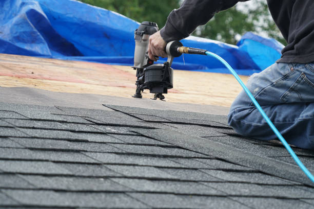 Best Roof Replacement Cost  in Amelia Court House, VA