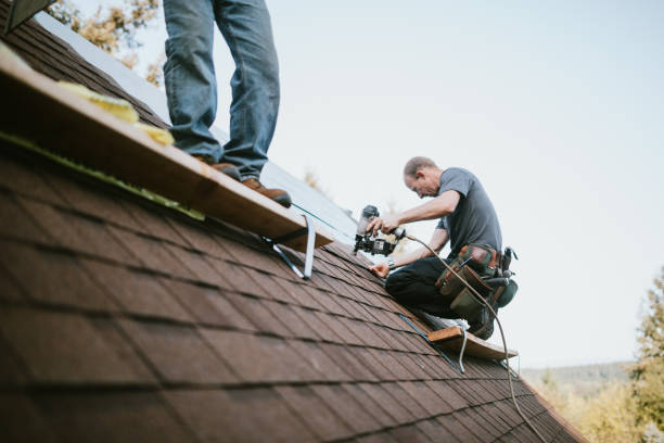 Quick and Trustworthy Emergency Roof Repair Services in Amelia Court House, VA
